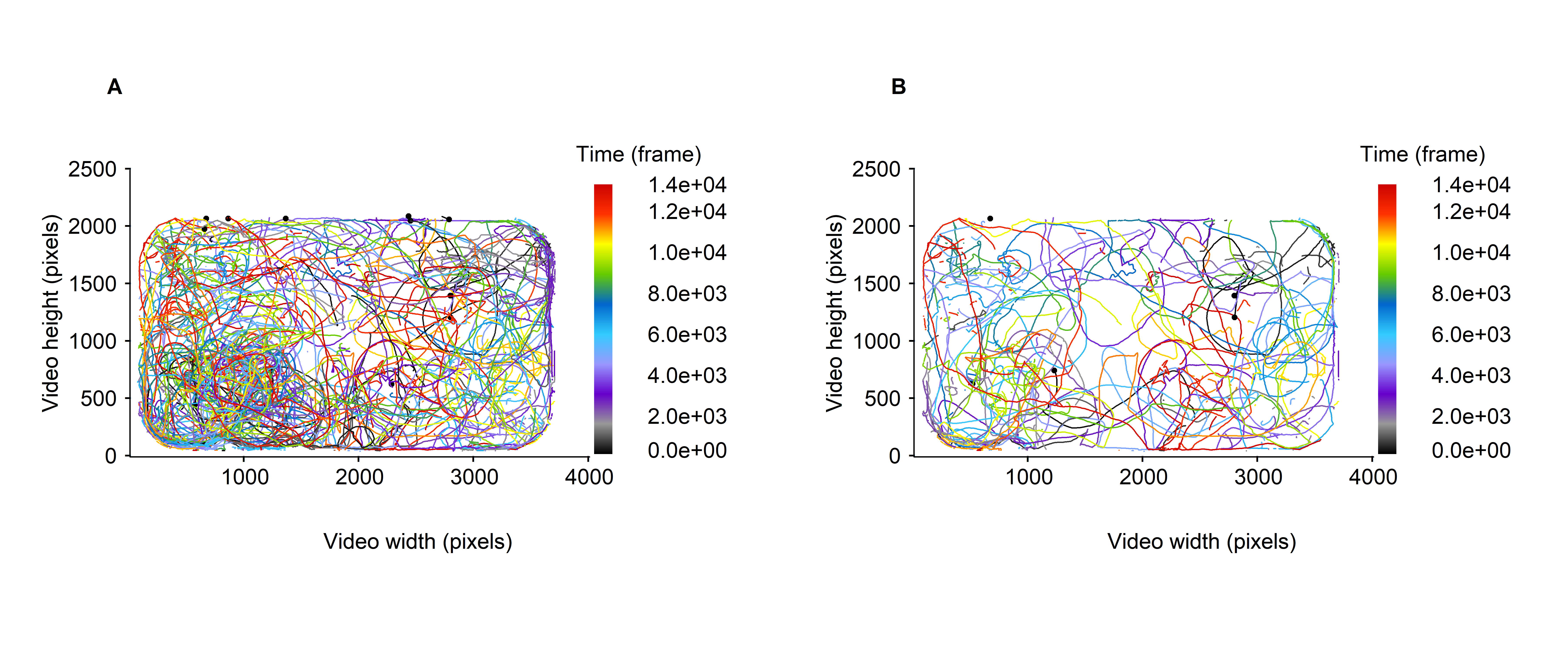 Micro-wasps trajectories over the whole video timeline, expressed in frame. A. all trajectories are represented. B. only the first 5 tracklets are represented. The trajectories are colored according to the moments at which they are recorded.