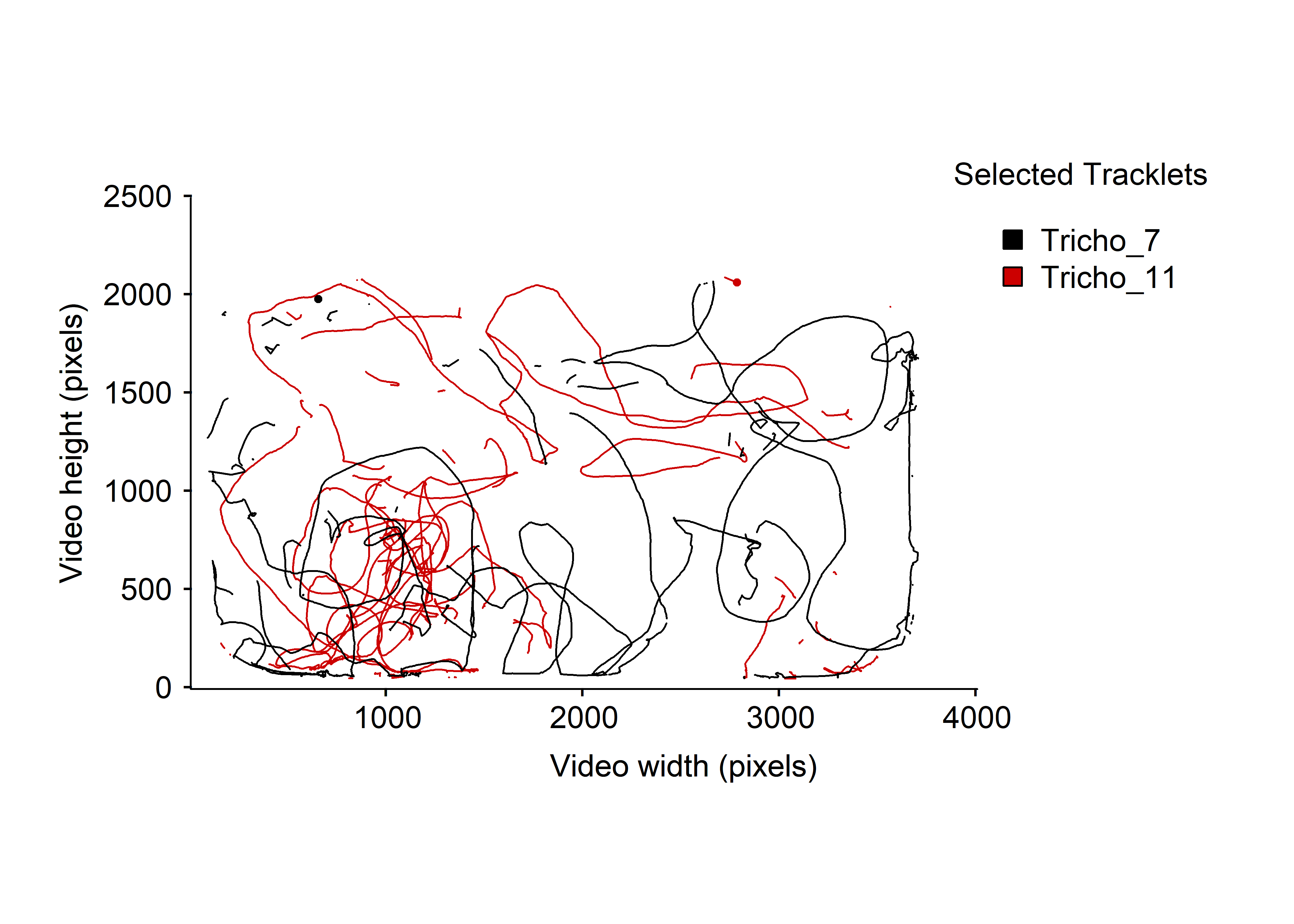 Micro-wasps trajectories for Tricho_7 and Tricho_11 over the whole video timeline.