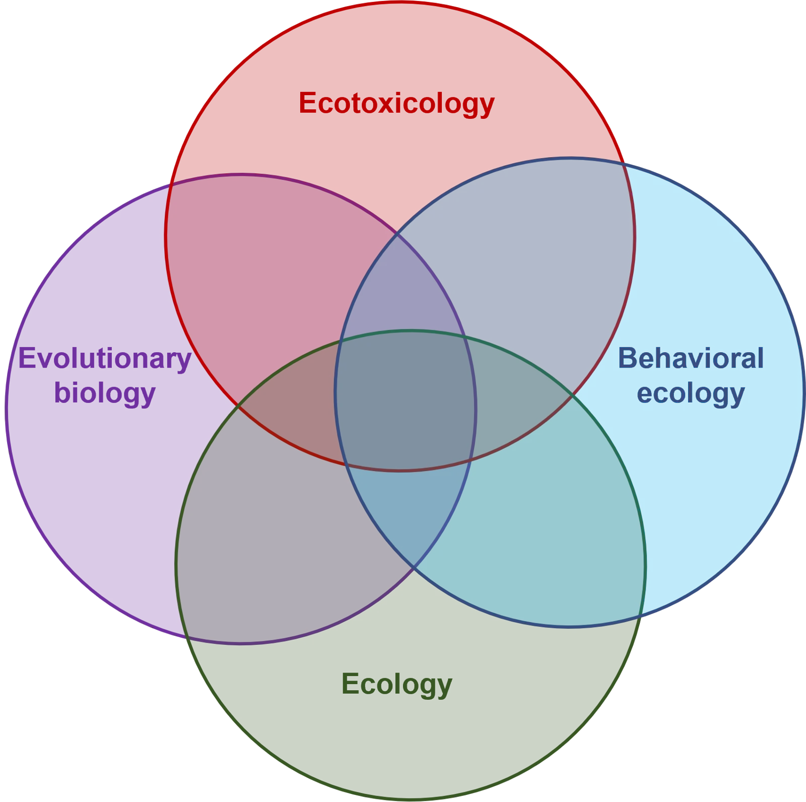 Research themes explored during my PhD